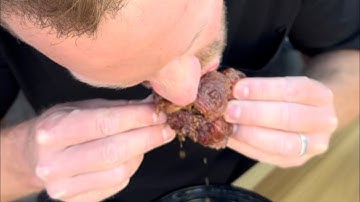 First time trying smoked Oxtails !! 🔥💨 Les BBQ