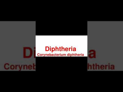 Corynebacterium diphtheria( morphology, culture characteristics, lab diagnosis and pathogenesis)