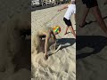 ENCARA MESSI 