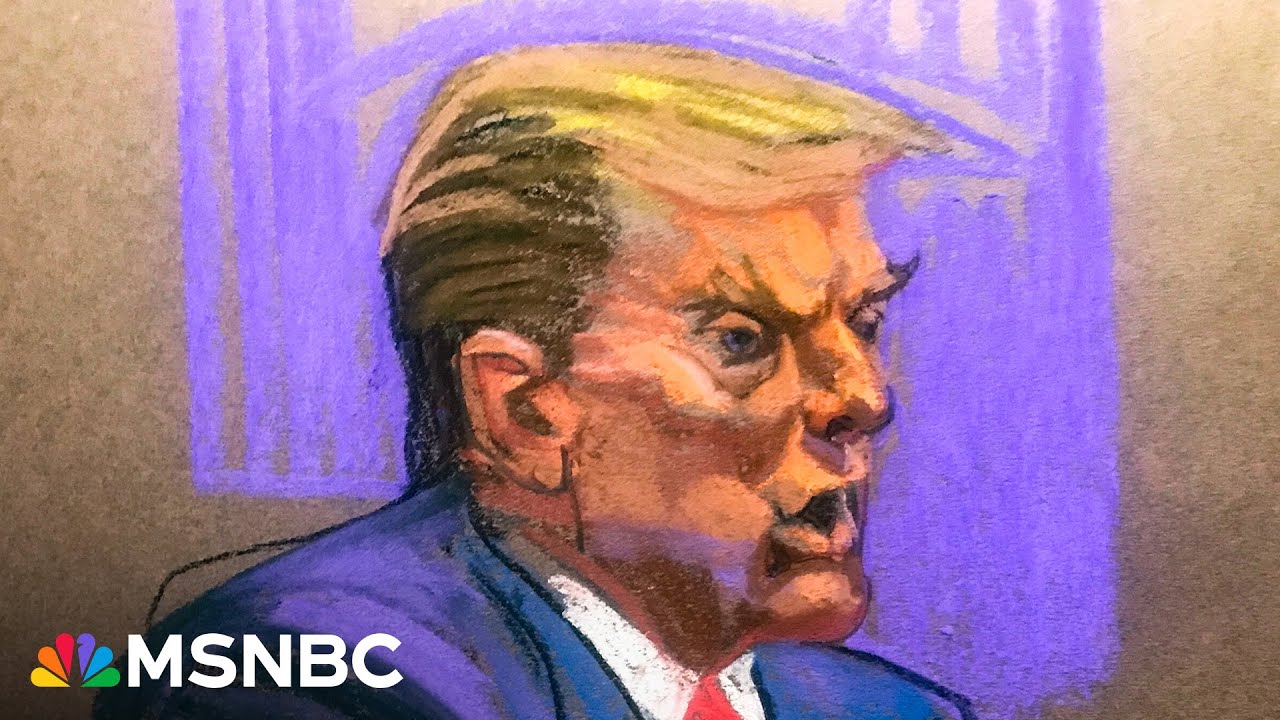 BREAKING Trump addresses court in closing arguments for New York civil fraud case  MSNBC