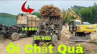 Tham Quan Xe Độ Chở Gỗ Keo Xuống Nhà Máy Cái Kết Bất Ngờ Gặp Xe Chở 16 Tấn / Khám Phá Official