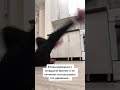 Ð£Ð»ÑŒÑ‚Ð° Ð´ÐµÑ‚ÐµÐ¹