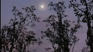 Seberkas Sinar - Nike Ardila || Cover Adlani Rambe (Lirik)