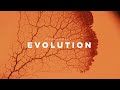 Evolution   the patterns of life seen in organisms from simple to complex   phenomena 4k