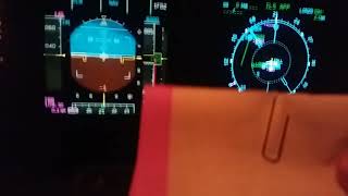LVO Low Visibility Operations