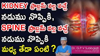 How To Differentiate Between Low Back Pain Caused By Kidney Problems & Spine Problems I Dr Subbaiah