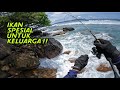 BERBURU IKAN PESANAN KELUARGA. Mancing UL casting pinggir pantai