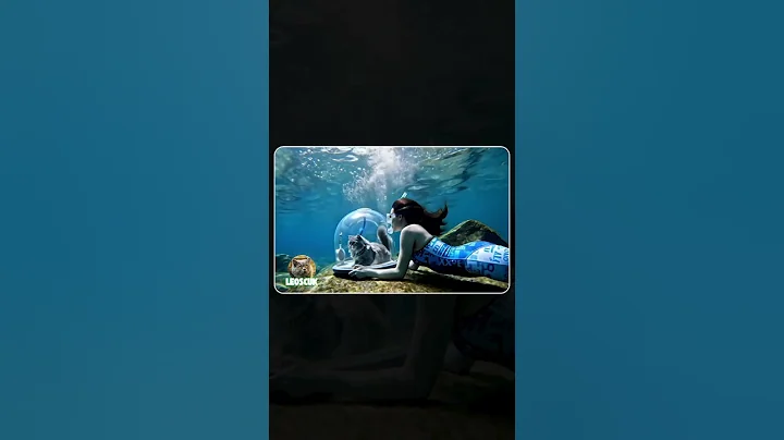 Watch the video about Fat British Longhair & Orange Cat Underwater! 🐱💧