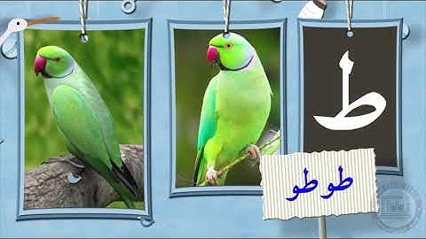 Sindhi Alif Bay| Sindhi Alphabet complete | Sindhi Alif Bay Ji Patti| سنڌي الف ب | سنڌي الف جي پٽي