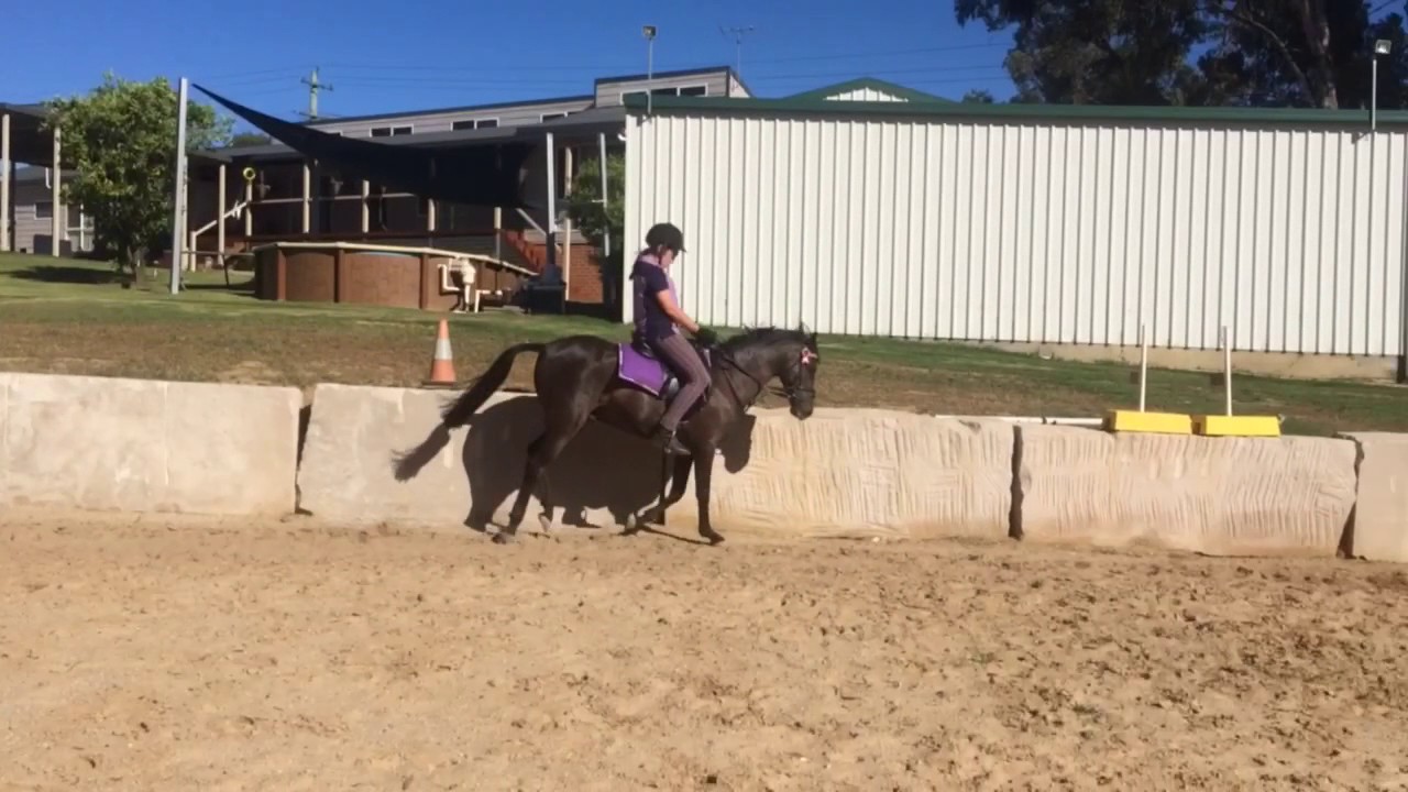 briefield in the dark