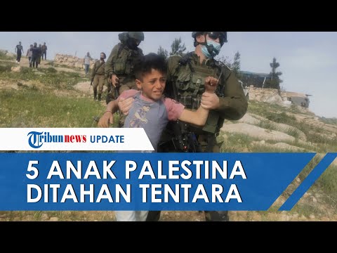 Beredar Video Tentara Israel Tahan 5 Anak Palestina Hanya Karena Kumpulkan Sayuran Liar