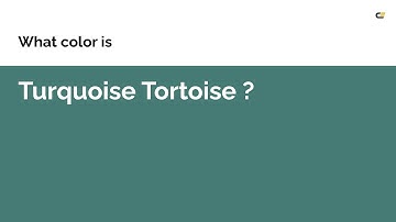 Turquoise Tortoise color #457b74 hex color - Green color - Warm color 457b74