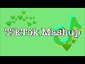 TikTok Mashup 2020 (not clean)