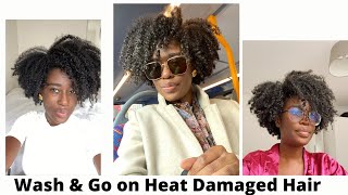 My Wash n Go Technique for Heat damaged hair