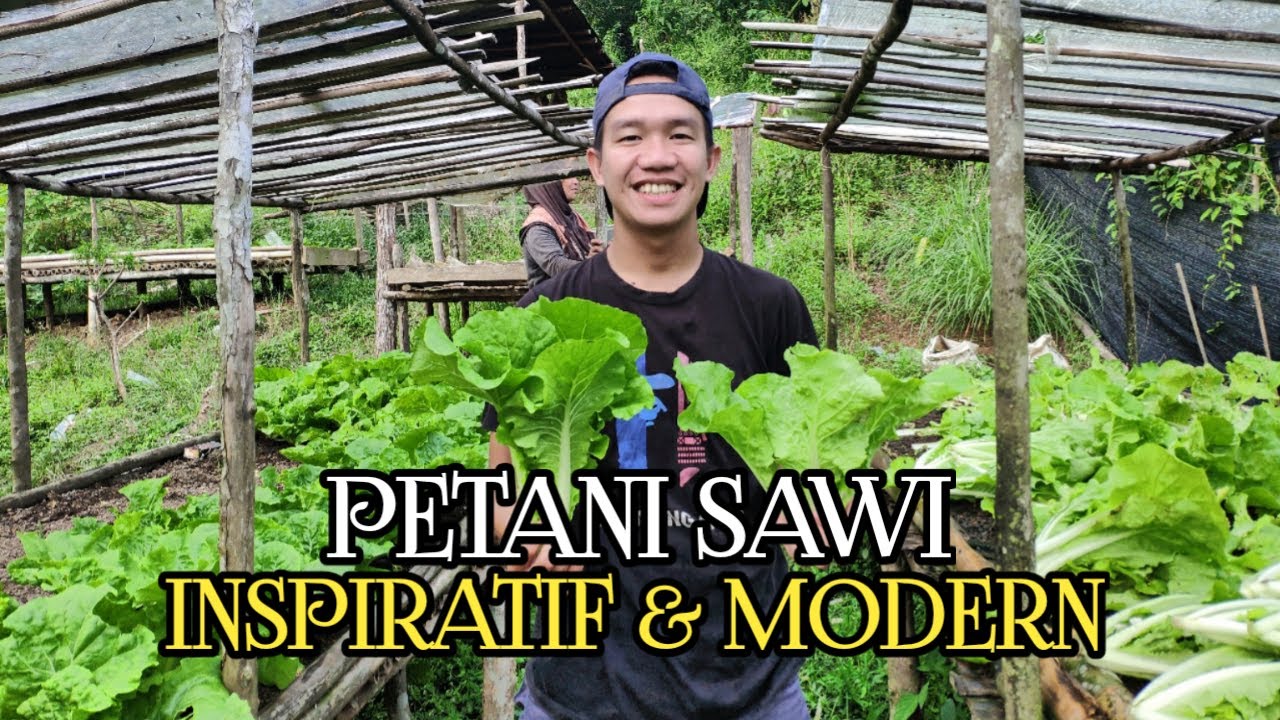 Ngobrol santui bareng Petani Sawi inspiratif & Modern