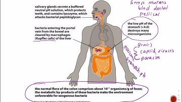 GI infections introduction