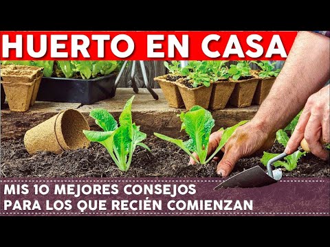 Video: Cultivar un huerto orgánico