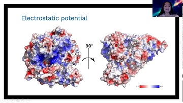 MOLECULAR DOCKING OF SARS-COV-2 RNA... - Cleidy Mirela Osorio Mogollón - Talk - ISCB-LA 2020