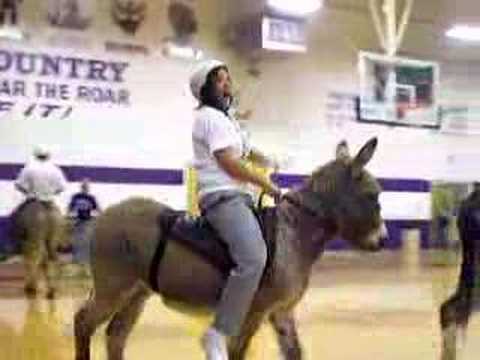 Yerington Donkey Basketball 2 2008