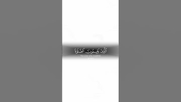 القرآن الكريم ❤ #القرآن #صلوا_على_النبي #اكسبلور #الجمعة #دعاء #ﷺ #دعاء_مستجاب #2024 #صلاة #fyp ♥♥
