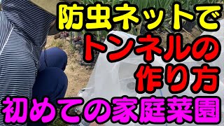 【初めての家庭菜園】防虫ネットでトンネルの作り方