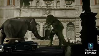 Ymir Vs Elephant V2