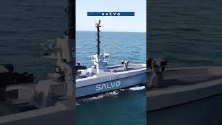 Türkiye’nin insansız deniz araçları Resimi