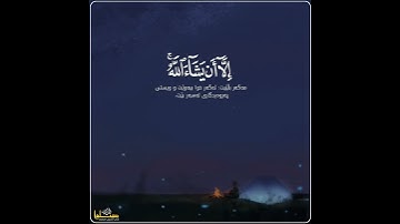 سعد الغامدي حالات واتس اب دينية سورة الكهف 🥺🦋