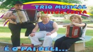 Video thumbnail of "Trio Musical Vítor Costa - Vinho vinhão"