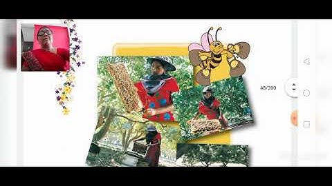 Std-4,sub - Evs, chapter - 5, part-2,shree J M k primary school, unjha.