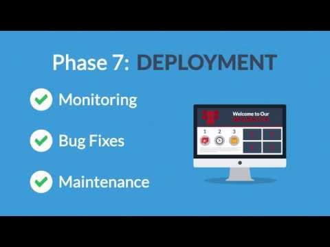 Search Gurus 7-Phase Web Design Process (3 Minutes)