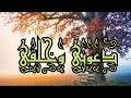 دعوني وخ ل قي لو خلقتموهم لرحمتموهم متولي الشعراوي