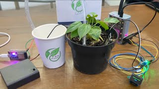 ICT1011: Group P2-L | FDE Plant 🌱