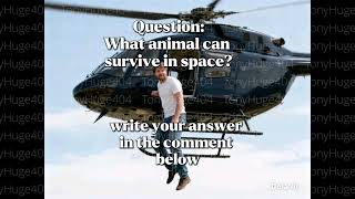 prq1774397521098 #tony #huge #linky #linkyoutube