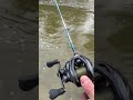 Shimano SLX BFS. Bait finesse trout fishing. It’s really fun