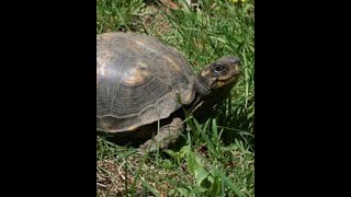 Download Lagu Beamer Educational 16 MP3