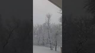 Bu Kızı Yeniden Büyütmeliyim