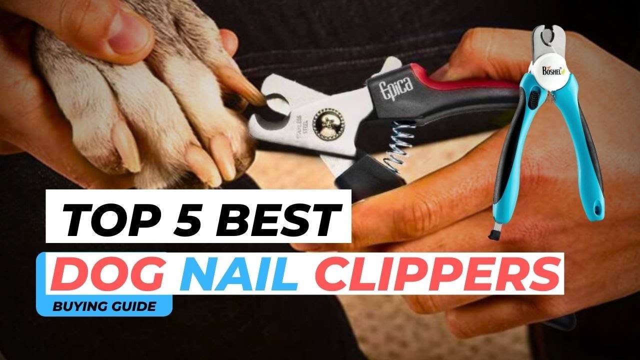 10 Best Dog Nail Clippers for Black Nails - 2024 Reviews & Top Picks |  Hepper