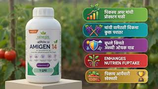 Amigen 14.  Call Genesis Agri  📞 9209843546 Genesis Solutions Ltd