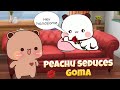 Peachu seduces goma peach goma  bubu dudu  panda bear cats kittensisland