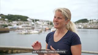 EuroSwac  The National Lobster Hatchery's latest research project