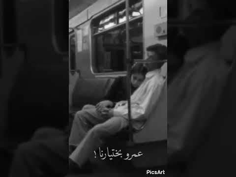 ولا كان الحب عمرو باختيارنا الوصف