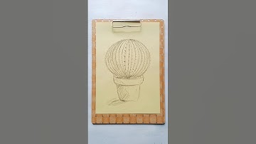 Sketch Cactus. #howtodraw #cactus #plants #sketch #drawing #tutorial #drawingtutorial #illustration