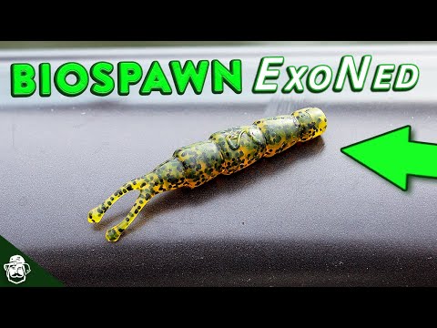 BioSpawn ExoNed First Look!  NEW Ned Rig Bait from BioSpawn Lures 