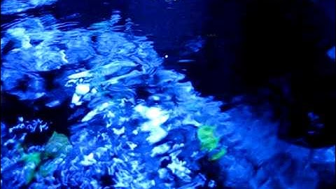 Vortech MP20 on my Solana