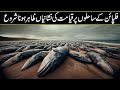Big Sign of Qayamat Came True in the Philippine In Urdu Hindi