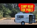 Oregon Coast Camping - Harris Beach State Park Campground
