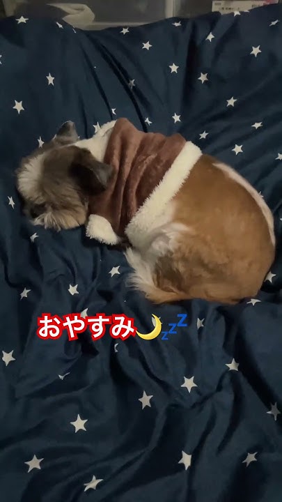 my-lovely-son-is-sleepwalking-love-my-son-bebe-is