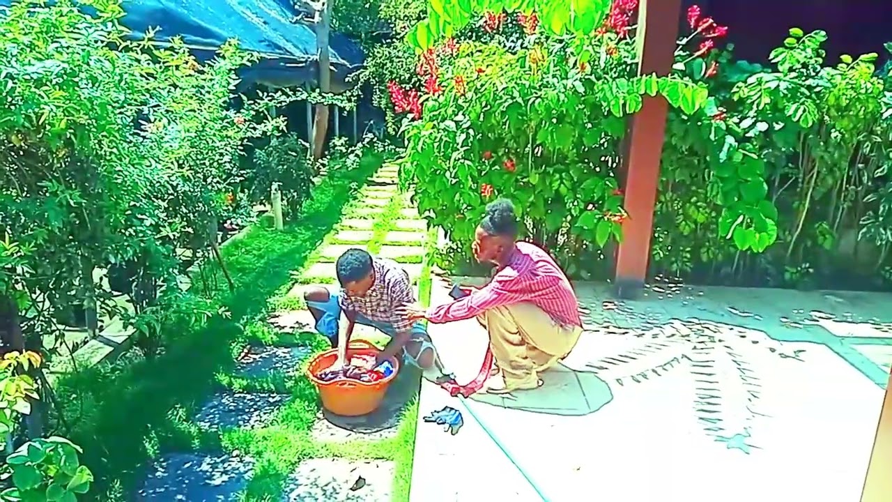 Ovilinga vio manbulo