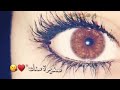 لا تتحدث عن الجمال أن لم ترى انعكاس ضوء الشمس في عيناها العسلية لا تتحدث عن الجمال أن لم ترى انعكاس ضوء الشمس في عيناها العسلية